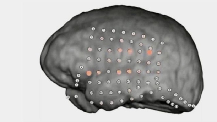 Brain`s party noise filter revealed by recordings